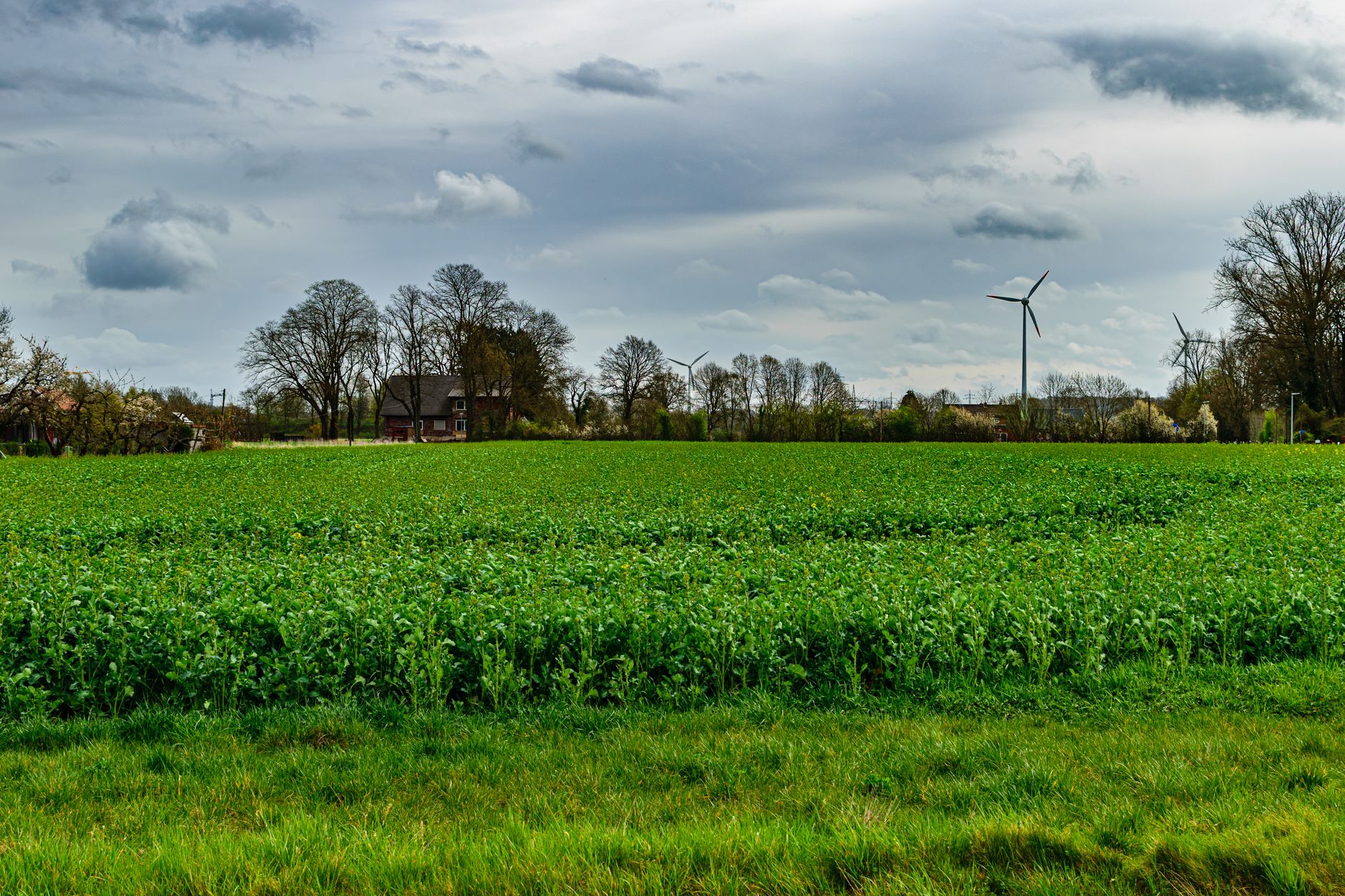 Small three blade wind turbine on a tall pole beside a green field